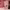 https://res.cloudinary.com/billionhands/image/upload/v1776189274/items/smxuslszjbsymqjxkcgz.avif-0cover