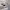 https://res.cloudinary.com/billionhands/image/upload/v1776193477/items/oy9jcbwymncfx4pxbpxo.jpg-3cover