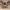 https://res.cloudinary.com/billionhands/image/upload/v1776193479/items/u6xgp2mpeherjyst5tdh.jpg-0cover