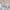 https://res.cloudinary.com/billionhands/image/upload/v1776193490/items/qveogz2fsn3xj4nvcoyf.jpg-2cover