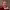 https://res.cloudinary.com/billionhands/image/upload/v1776196351/items/vywvkybabzqjpayz1owe.webp-0cover
