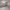 https://res.cloudinary.com/billionhands/image/upload/v1776200376/items/jsqwv1dpg0wztru5ecvv.webp-2cover