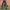 https://res.cloudinary.com/billionhands/image/upload/v1776203526/items/bwlfy0s82bwog123bcaf.jpg-1cover