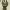 https://res.cloudinary.com/billionhands/image/upload/v1776208817/items/x88qhm7cvcpxjje3im9g.jpg-0cover