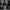 https://res.cloudinary.com/billionhands/image/upload/v1776227552/items/slmxgwgcxtvf5qlvqew3.jpg-3cover