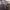 https://res.cloudinary.com/billionhands/image/upload/v1776227659/items/sxmyuq5vb4gsvtlvp95f.jpg-1cover
