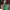 https://res.cloudinary.com/billionhands/image/upload/v1776227908/items/k01gupyazhhlzg6x63yw.webp-0cover