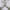 https://res.cloudinary.com/billionhands/image/upload/v1776227908/items/qs9dd4awctueez3kpfjl.jpg-2cover