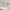 https://res.cloudinary.com/billionhands/image/upload/v1776227911/items/bc2oqwm5eg0gx2kgqzzz.jpg-1cover