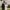 https://res.cloudinary.com/billionhands/image/upload/v1776233050/items/vzhkogeml0fadiiapzoo.jpg-2cover