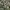 https://res.cloudinary.com/billionhands/image/upload/v1776236578/items/terdtvkos3nw4jgfc0fn.jpg-1cover
