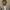 https://res.cloudinary.com/billionhands/image/upload/v1776239598/items/ntaadjv0gf8kbay3iadf.jpg-0cover