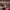 https://res.cloudinary.com/billionhands/image/upload/v1776256441/items/twf6st6tmzttuwfeistn.webp-2cover