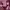 https://res.cloudinary.com/billionhands/image/upload/v1776266040/items/lxdqz12u0excu79wlapp.jpg-1cover