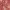https://res.cloudinary.com/billionhands/image/upload/v1776272446/items/kuvjgw86f4znb8miyuwz.webp-3cover