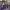 https://res.cloudinary.com/billionhands/image/upload/v1776273212/items/fsl0sapjpntbcbtivjf4.jpg-1cover