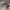 https://res.cloudinary.com/billionhands/image/upload/v1776274484/items/js9dvjgqdhvqemfnzntg.avif-1cover