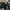 Six Feet Under: The Series Finale (Season 5, Episode 12) 4