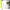 https://res.cloudinary.com/billionhands/image/upload/v1776276684/items/impozho7xltgzfijgsst.jpg-0cover