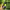 https://res.cloudinary.com/billionhands/image/upload/v1776286369/items/gyesdna9sw3jujysbqhq.jpg-1cover
