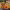 Pasta de Curry Massaman Maesri cover