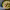 https://res.cloudinary.com/billionhands/image/upload/v1776310506/items/r9vipqqvcc2raeduqtim.webp-2cover