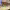 https://res.cloudinary.com/billionhands/image/upload/v1776312554/items/pfzhaj7udcnnjgccyso4.jpg-2cover