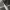 https://res.cloudinary.com/billionhands/image/upload/v1776314043/items/w8hqvgcy6w6d1t12uusy.webp-1cover