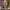 https://res.cloudinary.com/billionhands/image/upload/v1776340900/items/lh6ntqgkuf7xov4z0nuz.jpg-2cover