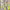 https://res.cloudinary.com/billionhands/image/upload/v1776340910/items/bejaxubreevasnyviawd.jpg-0cover