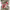 https://res.cloudinary.com/billionhands/image/upload/v1776340998/items/lvkqljmvcefedjdpvecy.jpg-0cover