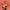 https://res.cloudinary.com/billionhands/image/upload/v1776341051/items/kz0wfkbmn92ttsqwxmli.jpg-0cover