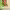 https://res.cloudinary.com/billionhands/image/upload/v1776355000/items/nhw4xvwxoqwoubjjuhqa.jpg-2cover
