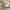 https://res.cloudinary.com/billionhands/image/upload/v1776360539/items/pwgjlrtt1cz3blzxsyon.jpg-0cover