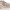 https://res.cloudinary.com/billionhands/image/upload/v1776360555/items/lkeaq4rnv55mzwdjvjtt.png-3cover
