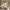 https://res.cloudinary.com/billionhands/image/upload/v1776360559/items/vtxgrilfxdebchikyzlp.jpg-2cover