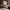 https://res.cloudinary.com/billionhands/image/upload/v1776360561/items/itzhgxvxgl6v3zzlfla8.jpg-0cover