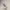 https://res.cloudinary.com/billionhands/image/upload/v1776362897/items/w9mrwleq3peabsenrdxy.jpg-3cover