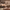 https://res.cloudinary.com/billionhands/image/upload/v1776366894/items/yohy4hutgp6pdtl2wbdb.jpg-1cover