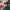 Study Music 2026 (Mix) cover