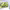 https://res.cloudinary.com/billionhands/image/upload/v1776370443/items/fu23x0hu5qfxabjkgv5l.jpg-1cover