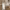 https://res.cloudinary.com/billionhands/image/upload/v1776370452/items/mpfahtgsyv4lbhaxiipn.webp-3cover