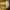 https://res.cloudinary.com/billionhands/image/upload/v1776373230/items/icrn0ijhamwsryclqmly.jpg-3cover