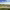 https://res.cloudinary.com/billionhands/image/upload/v1776375400/items/mtdl3n9yfdt9pgdzchq3.jpg-3cover