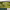 https://res.cloudinary.com/billionhands/image/upload/v1776375404/items/bsakcnkvsd9igm8ua4gj.jpg-1cover