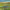 https://res.cloudinary.com/billionhands/image/upload/v1776375414/items/e4vullcabvtvrkjnh0vm.webp-0cover