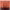https://res.cloudinary.com/billionhands/image/upload/v1776380752/items/hxepkzs6s1uukf8yy92r.jpg-0cover