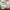https://res.cloudinary.com/billionhands/image/upload/v1776380754/items/u9douv9ggetnxvnd50dd.jpg-3cover