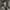 https://res.cloudinary.com/billionhands/image/upload/v1776381053/items/fandekbgbhqaqlyfag0c.webp-3cover