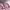 https://res.cloudinary.com/billionhands/image/upload/v1776381312/items/oscqhczj6xf0y8khbwrk.jpg-3cover